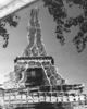Eiffel Reflection.jpg