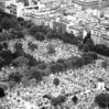 Cemetary Montparnasse.jpg